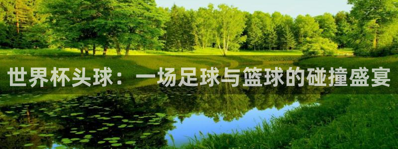 欧洲区世界杯预选赛:世界杯头球:一场足球与篮球的碰撞盛宴