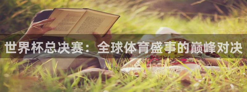 世界杯足球直播:世界杯总决赛:全球体育盛事的巅峰对决