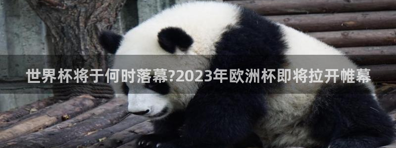 2026世界杯小组赛赛程时间表:世界杯将于何时落幕?2023年欧洲杯即将拉开帷幕