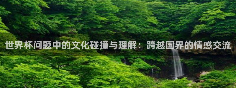 世界杯球赛:世界杯问题中的文化碰撞与理解:跨越国界的情感交流