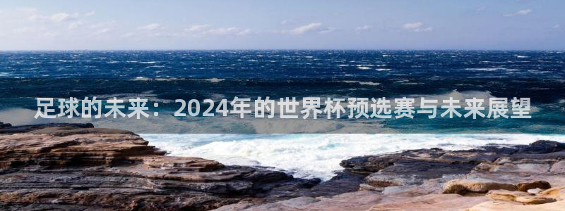联赛杯直播:足球的未来:2024年的世界杯预选赛与未来展望