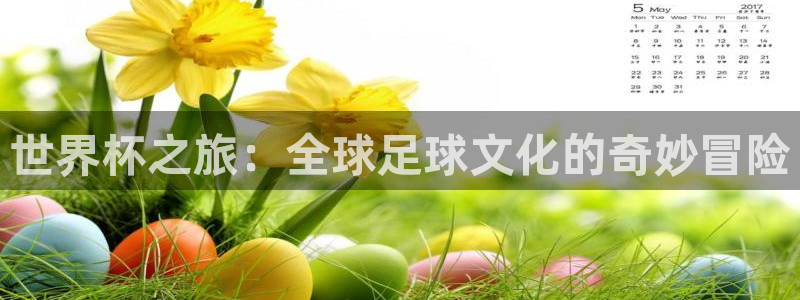 足球世界杯预选赛:世界杯之旅:全球足球文化的奇妙冒险