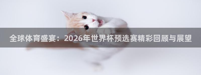 世预赛欧洲赛程表:全球体育盛宴:2026年世界杯预选赛精彩回顾与展望